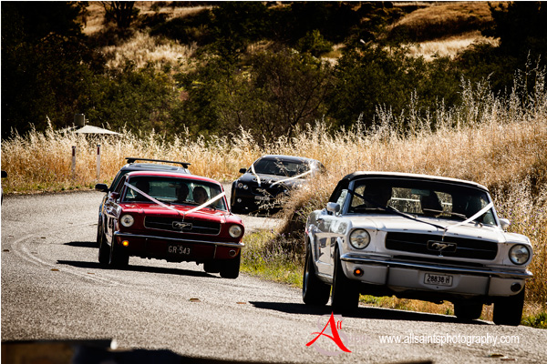 Jess and Rob's Albury Wedding | Albury Wedding Photographers  | sg036.jpg