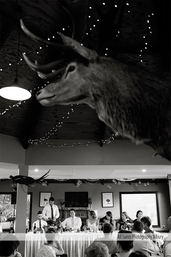 Bridgette and Paul's Wedding at The Red Stag Deer and Emu Farm Eurobin | Porepunkah / Bright Wedding Photographers | _Red-Stag-Deer-Farm-erobin-weddings-Bridgette-Paul-0042.JPG