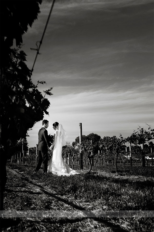Natasha and David's at De Bortoli Wines | Rutherglen Wedding Photographers  | Tuileries-Rutherglen-weddings-Natasha-David-0030.JPG
