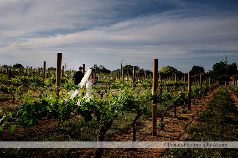 Natasha and David's at De Bortoli Wines | Rutherglen Wedding Photographers 