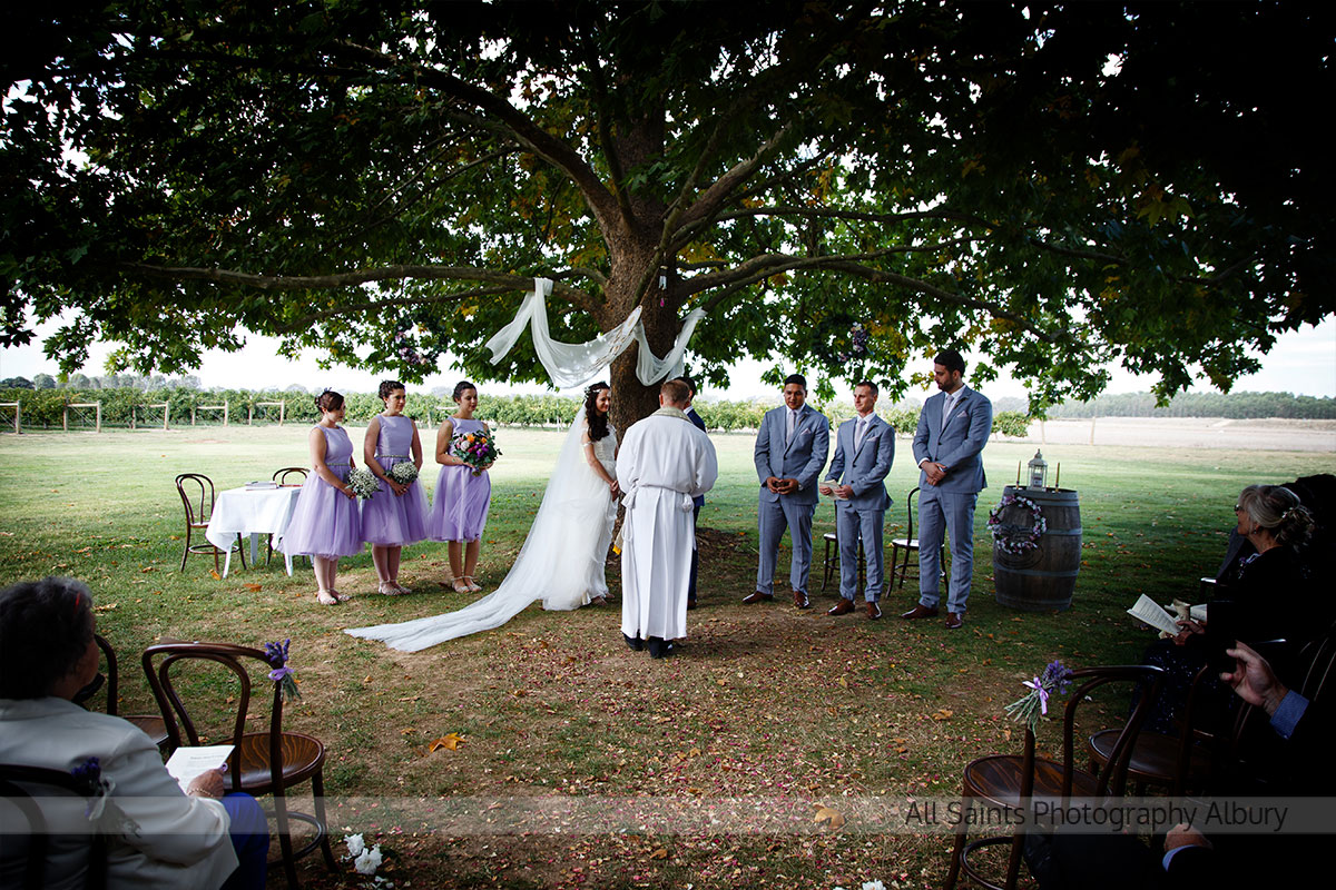 Natalie & Vincent's Brown Brothers Milawa,  | Milawa Wedding Photographers | brown-brothers-milawa-weddings-Natalie-Vincent-0027.JPG