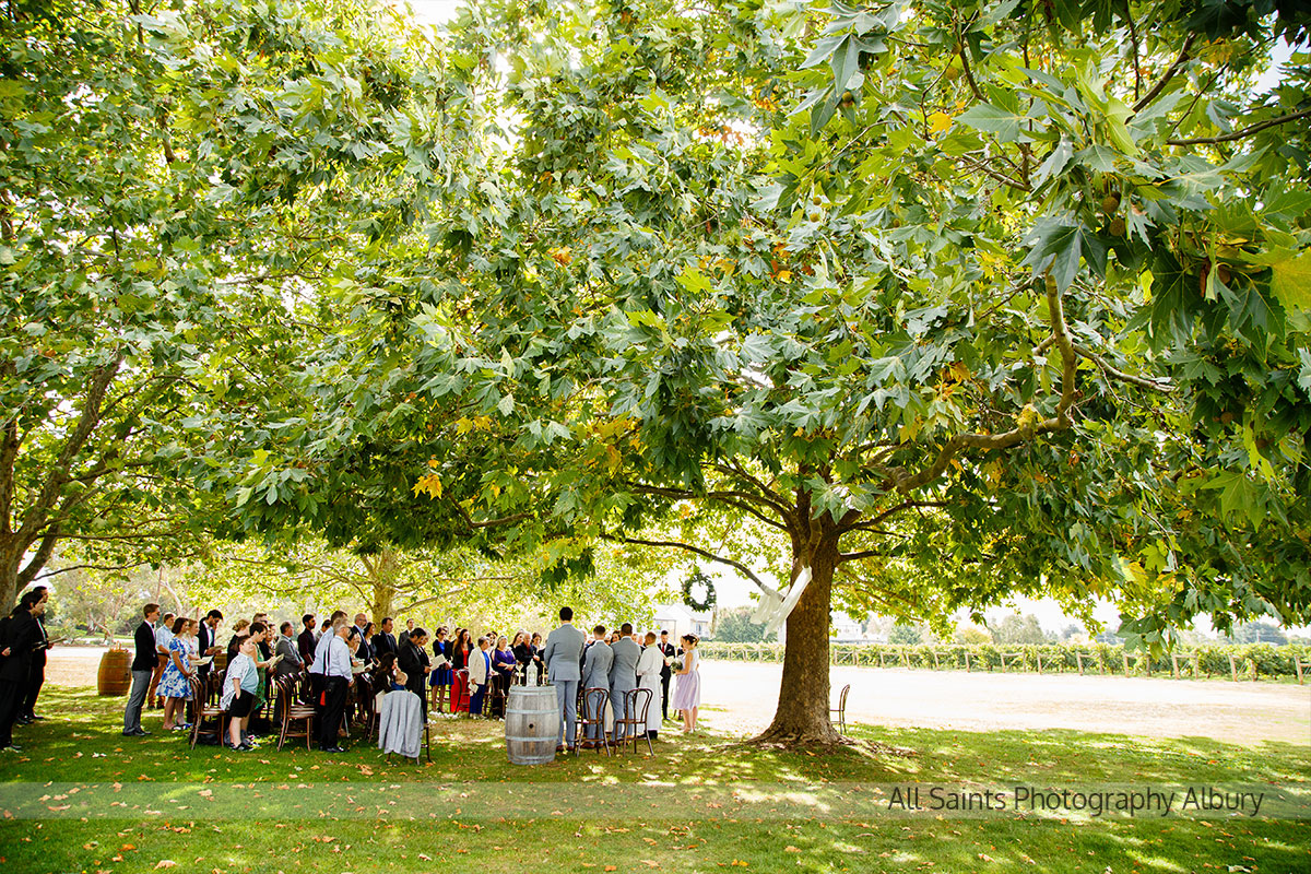 Natalie & Vincent's Brown Brothers Milawa,  | Milawa Wedding Photographers | brown-brothers-milawa-weddings-Natalie-Vincent-0024.JPG