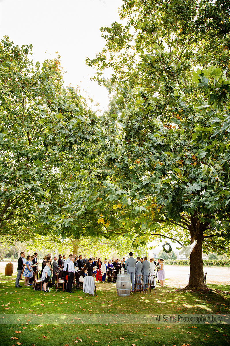 Natalie & Vincent's Brown Brothers Milawa,  | Milawa Wedding Photographers | brown-brothers-milawa-weddings-Natalie-Vincent-0023.JPG