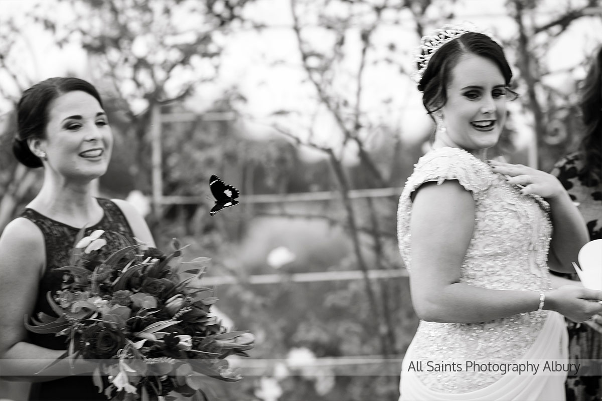 Jessica & Thomas’ Wedding at De Bortoli Wines | Rutherglen Wedding Photographers  | tuileries-rutherglen-weddings-all-saints-photography-Jessica-Thomas-0038.JPG