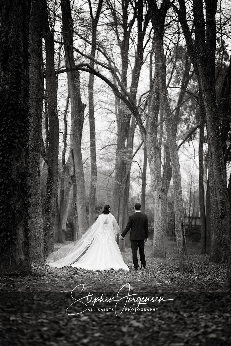 Amanda and Daniel's Hovell Tree Inn Albury wedding | Albury Wedding Photographers  | Hovell-tree-inn-albury-wedding-Amanda-daniel-0041.jpg