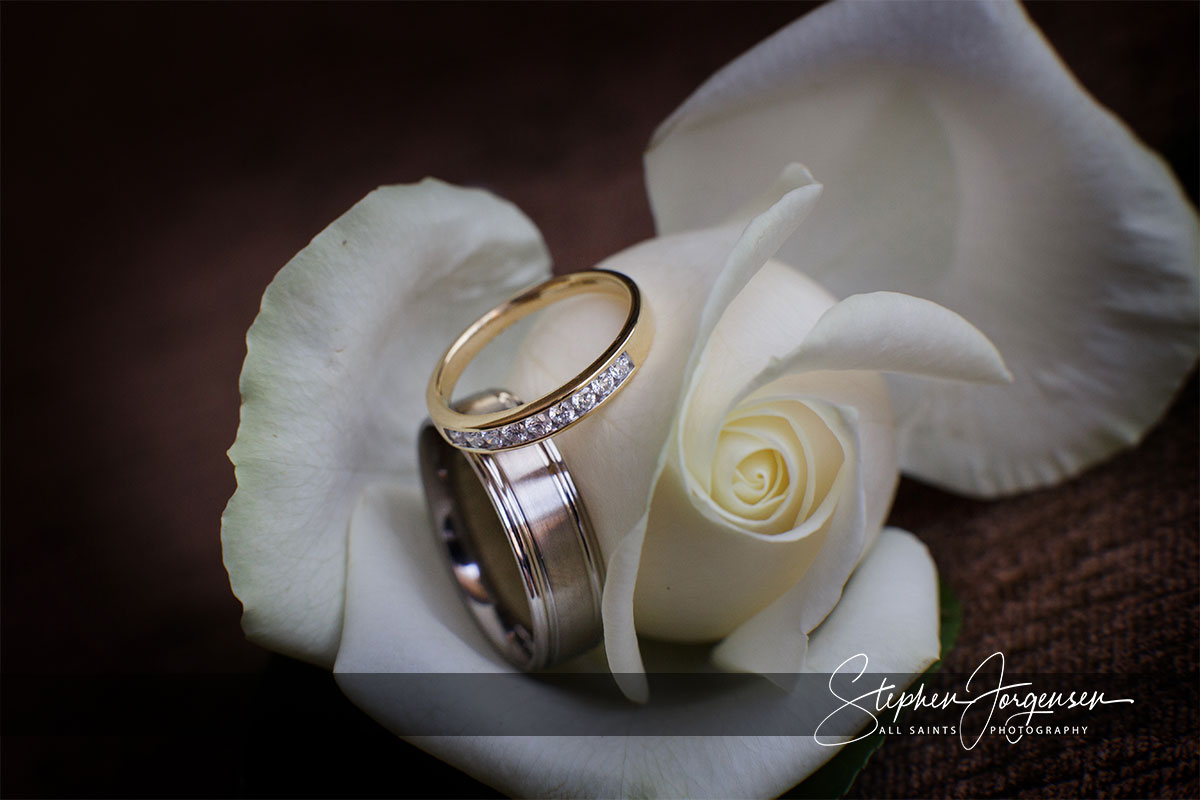 Amanda and Daniel's Hovell Tree Inn Albury wedding | Albury Wedding Photographers  | Hovell-tree-inn-albury-wedding-Amanda-daniel-0001.jpg