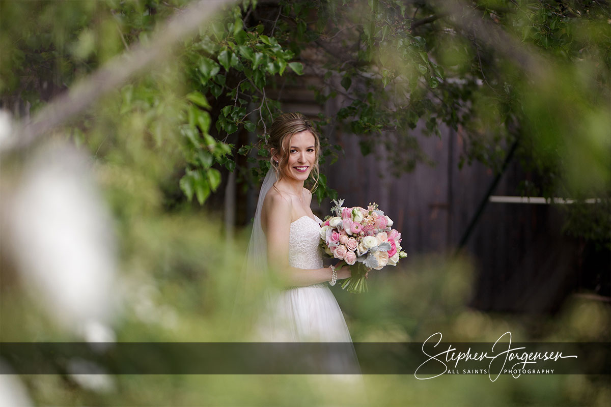 Lauren & Daniel's wedding at  Brown Brothers Winery Milawa  | Milawa Wedding Photographers | brown-brothers-milawa-weddings-Lauren-Daniel-0011.jpg