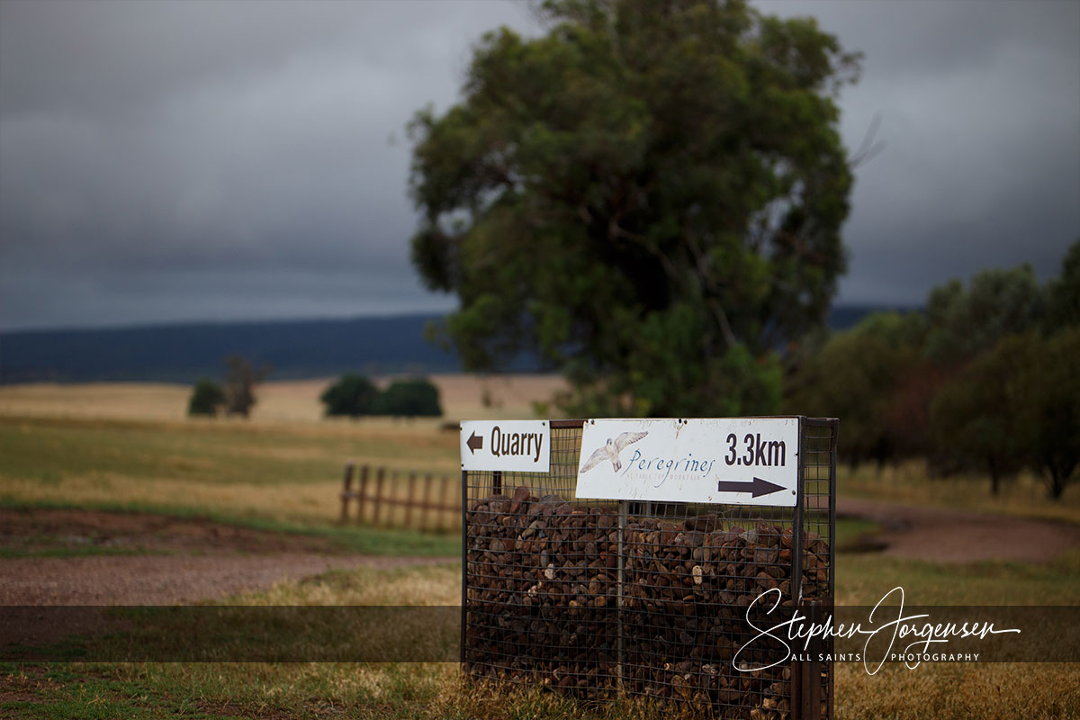 Jess and Jules Wedding Renewal at Peregrines Reception Centre Table Top Mountain | Albury Wedding Photographers | Peregrines-Event-Centre-Tabletop-Mountain-Albury-weddings-Jess-Jules-0008.jpg