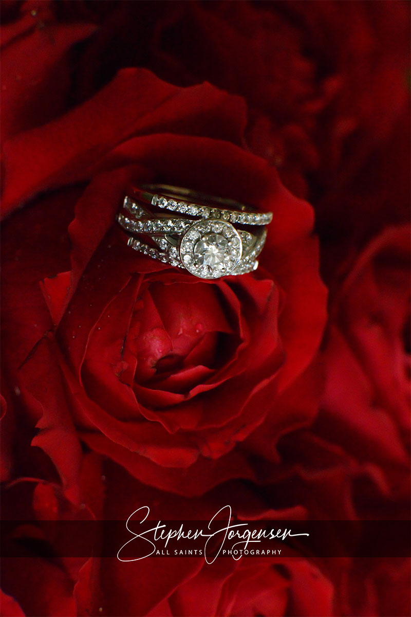 Jess and Jules Wedding Renewal at Peregrines Reception Centre Table Top Mountain | Albury Wedding Photographers | Peregrines-Event-Centre-Tabletop-Mountain-Albury-weddings-Jess-Jules-0001.jpg