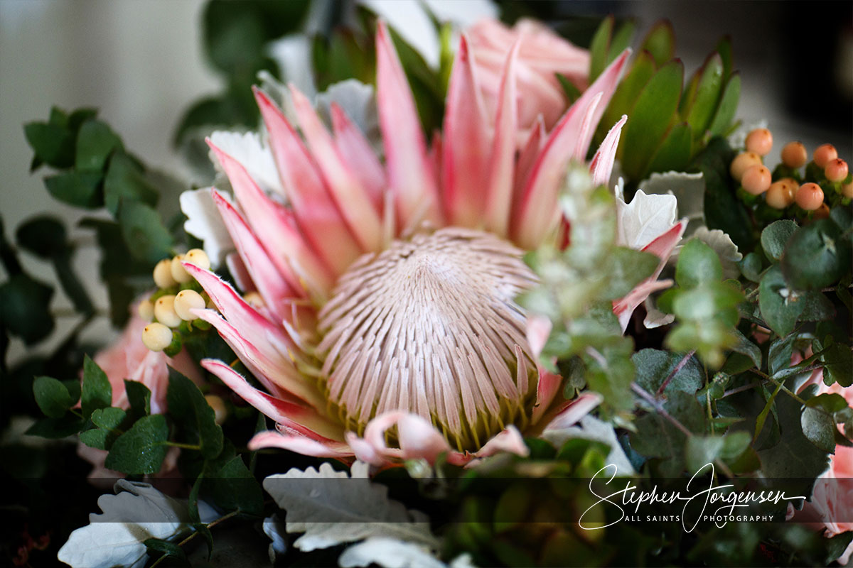 Lauren and Aaron's Wedding at The Red Stag Deer and Emu Farm Eurobin | Porepunkah / Bright Wedding Photographers | Red-Stag-Deer-and-Emu-Farm-Eurobin-weddings-Lauren-Aaron-0004.jpg