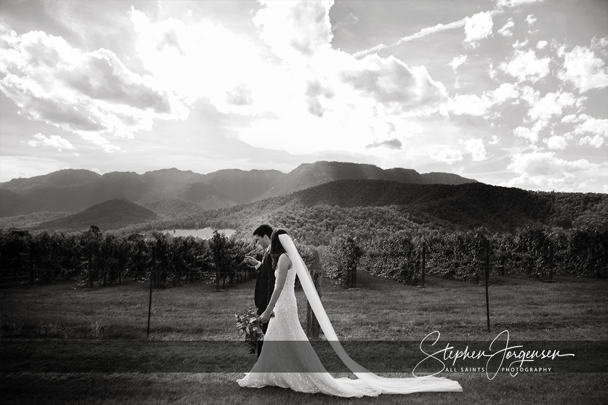 Lauren and Aaron's Wedding at The Red Stag Deer and Emu Farm Eurobin | Porepunkah / Bright Wedding Photographers | Red-Stag-Deer-and-Emu-Farm-Eurobin-weddings-Lauren-Aaron-0040.jpg