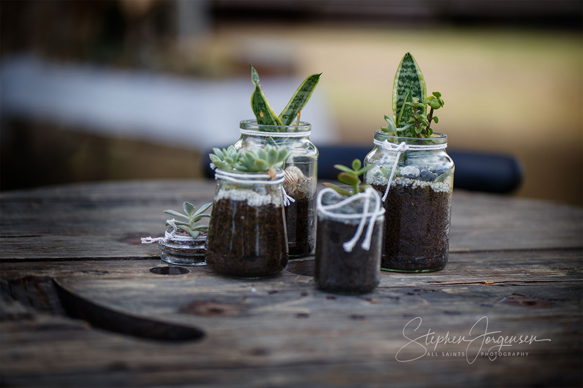 Alex and Anthony's Wedding at Deniliquin Boat Club | Deniliquin wedding Photographers | Deniliquinl-weddings-Alex-Anthony-0018.jpg