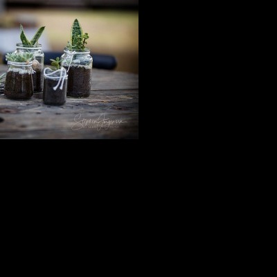 Alex and Anthony's Wedding at Deniliquin Boat Club | Deniliquin wedding Photographers | Deniliquinl-weddings-Alex-Anthony-0018.jpg