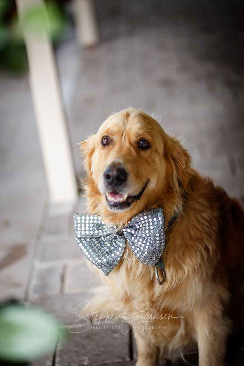 Michaela and Anthony's Wedding at Remel 185 | Whorouly wedding Photographers  | Whorouly-weddings-Michaela-Anthony-0005.jpg