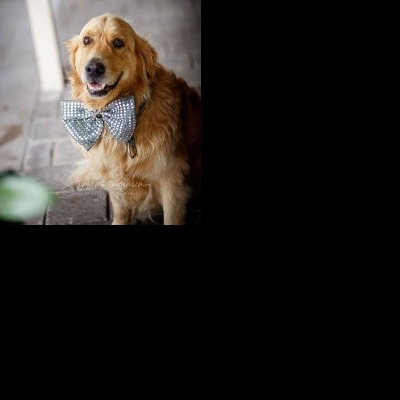 Michaela and Anthony's Wedding at Remel 185 | Whorouly wedding Photographers  | Whorouly-weddings-Michaela-Anthony-0005.jpg