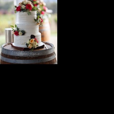 Catherine & David’s Wedding at Gapsted Estate | Gapsted Wedding Photographers | Gapsted-winnes-weddings-Catherine-David-0087.jpg