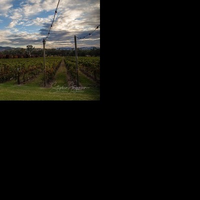 Catherine & David’s Wedding at Gapsted Estate | Gapsted Wedding Photographers | Gapsted-winnes-weddings-Catherine-David-0100.jpg