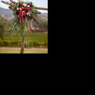 Catherine & David’s Wedding at Gapsted Estate | Gapsted Wedding Photographers | Gapsted-winnes-weddings-Catherine-David-0023.jpg