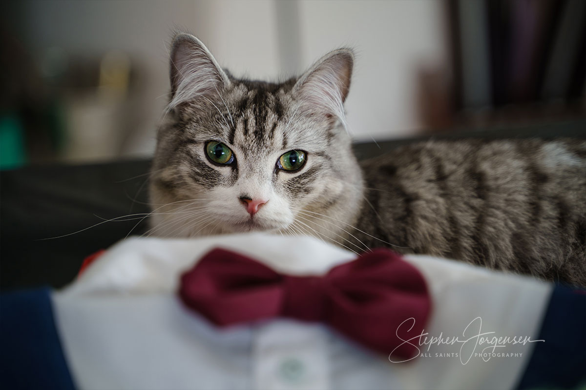 Jemma & Belamy's Wedding at Beneagle Farm | Yackandandah wedding photographers | Albury-weddings-Jemma-Belamy-0004.jpg