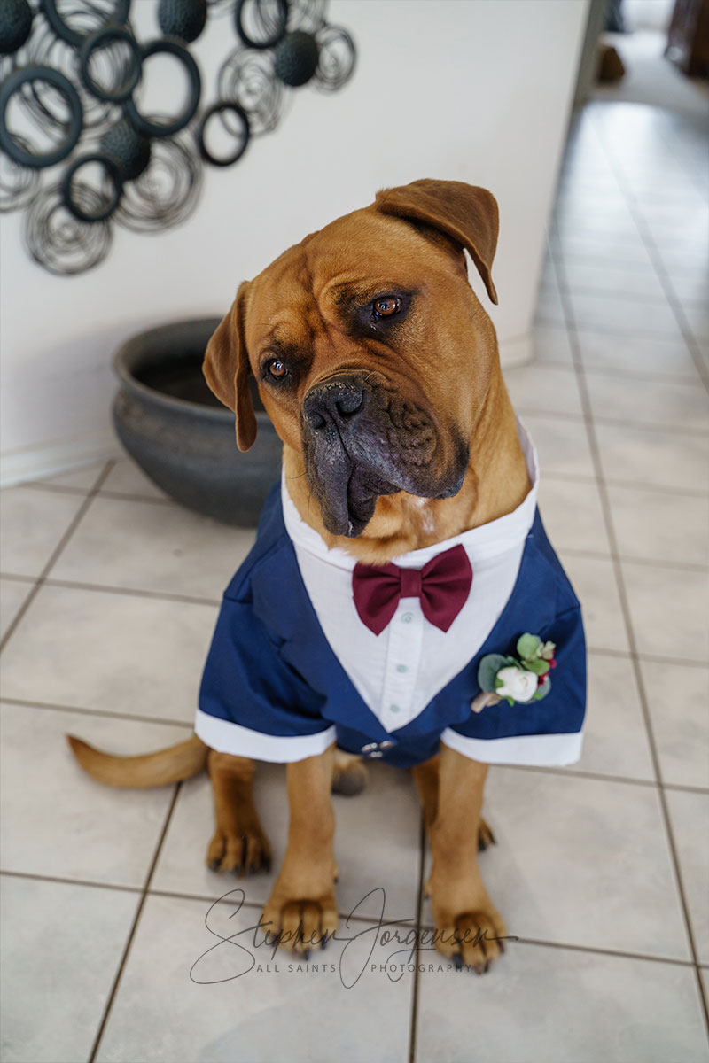 Jemma & Belamy's Wedding at Beneagle Farm | Yackandandah wedding photographers | Albury-weddings-Jemma-Belamy-0006.jpg