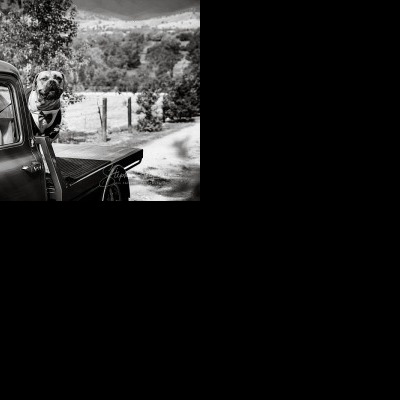 Jemma & Belamy's Wedding at Beneagle Farm | Yackandandah wedding photographers | Albury-weddings-Jemma-Belamy-0020.jpg