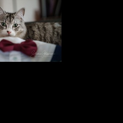 Jemma & Belamy's Wedding at Beneagle Farm | Yackandandah wedding photographers | Albury-weddings-Jemma-Belamy-0004.jpg