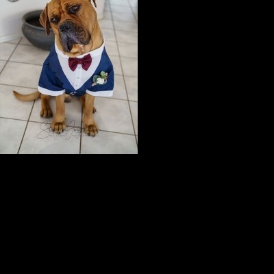 Jemma & Belamy's Wedding at Beneagle Farm | Yackandandah wedding photographers | Albury-weddings-Jemma-Belamy-0006.jpg