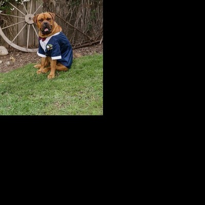 Jemma & Belamy's Wedding at Beneagle Farm | Yackandandah wedding photographers | Albury-weddings-Jemma-Belamy-0053.jpg