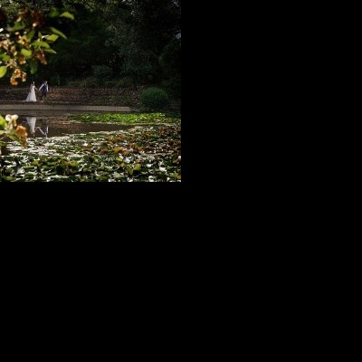 Jemma & Belamy's Wedding at Beneagle Farm | Yackandandah wedding photographers | Albury-weddings-Jemma-Belamy-0047.jpg