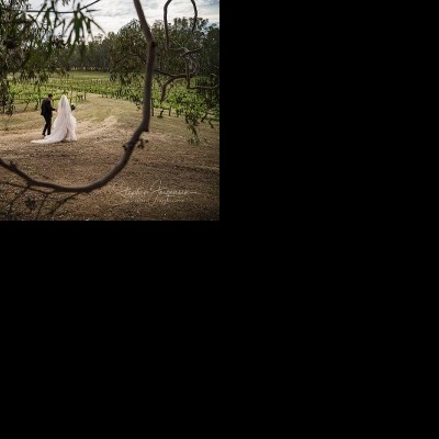 Julie & Viv's Wedding at St Leonard's Winery | Rutherglen Wedding Photographers | Rutherglen-weddings-Julie-Viv-0037.jpg