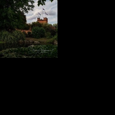 Sharduli and Evan's wedding at All Saints Estate | Rutherglen Wedding Photographers  | All-Saints-Estate-Rutherglen-weddings-Sharduli-Evan-0053a.jpg