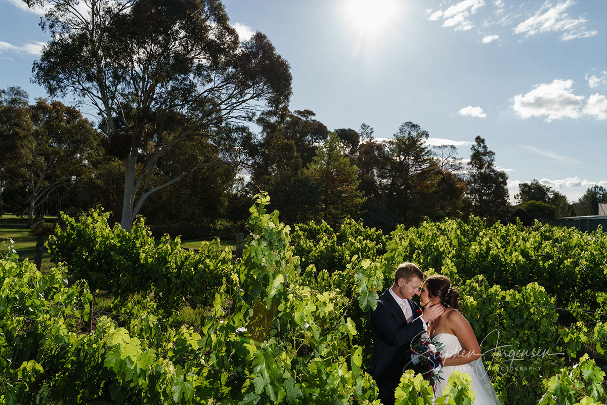 Elizabeth and Brett's wedding at Lancemore, Milawa | King Valley Wedding Photographers | Lindenwarah-milawa-weddings-Lizzie-Brett-0057.jpg