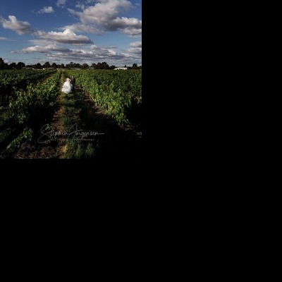 Elizabeth and Brett's wedding at Lancemore, Milawa | King Valley Wedding Photographers | Lindenwarah-milawa-weddings-Lizzie-Brett-0060.jpg