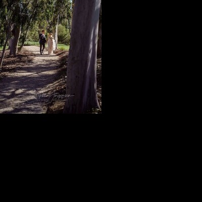 Megan and Daniel's wedding at Brown Brothers Winery, Milawa | Milawa Wedding Photographers | Brown-Brothers-winery-milawa-weddings-Megan-Daniel-0051.jpg