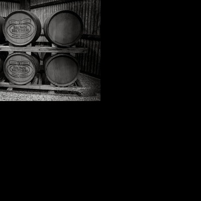 Megan and Daniel's wedding at Brown Brothers Winery, Milawa | Milawa Wedding Photographers | Brown-Brothers-winery-milawa-weddings-Megan-Daniel-0071.jpg