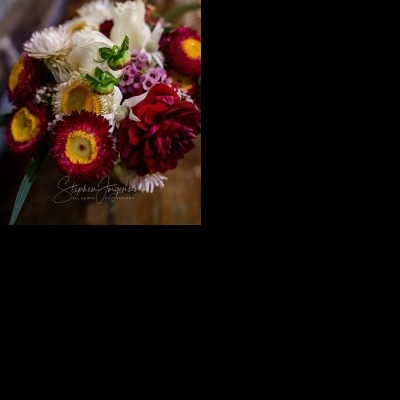 Megan and Daniel's wedding at Brown Brothers Winery, Milawa | Milawa Wedding Photographers | Brown-Brothers-winery-milawa-weddings-Megan-Daniel-0070.jpg