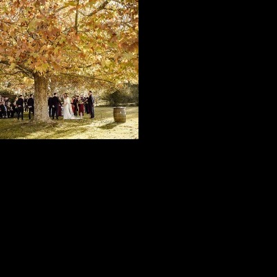 Miranda and James's Wedding at Brown Brothers Winery, Milawa  | Milawa Wedding Photographers | Brown-Brothers-Milawa-weddings-Miranda-James-0030.jpg