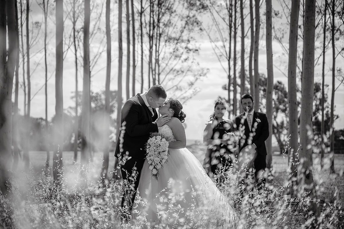 Brown Brothers Milawa Wedding Venue – A Complete Guide for Couples Planning a Winery Wedding | Brown-Brothers-Winery-Milawa-weddings-Joanna-Scott-0032.jpg