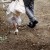 Albury Wedding Photographer Prices and Information. | AllSaintsPhotography-57.jpg