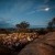 Albury Wedding Photographer Prices and Information. | AllSaintsPhotography-91.jpg