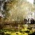 Albury Wedding Photographer Prices and Information. | AllSaintsPhotography-101.jpg