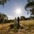 Albury Wedding Photographer Prices and Information. | allsaints201907208.jpg