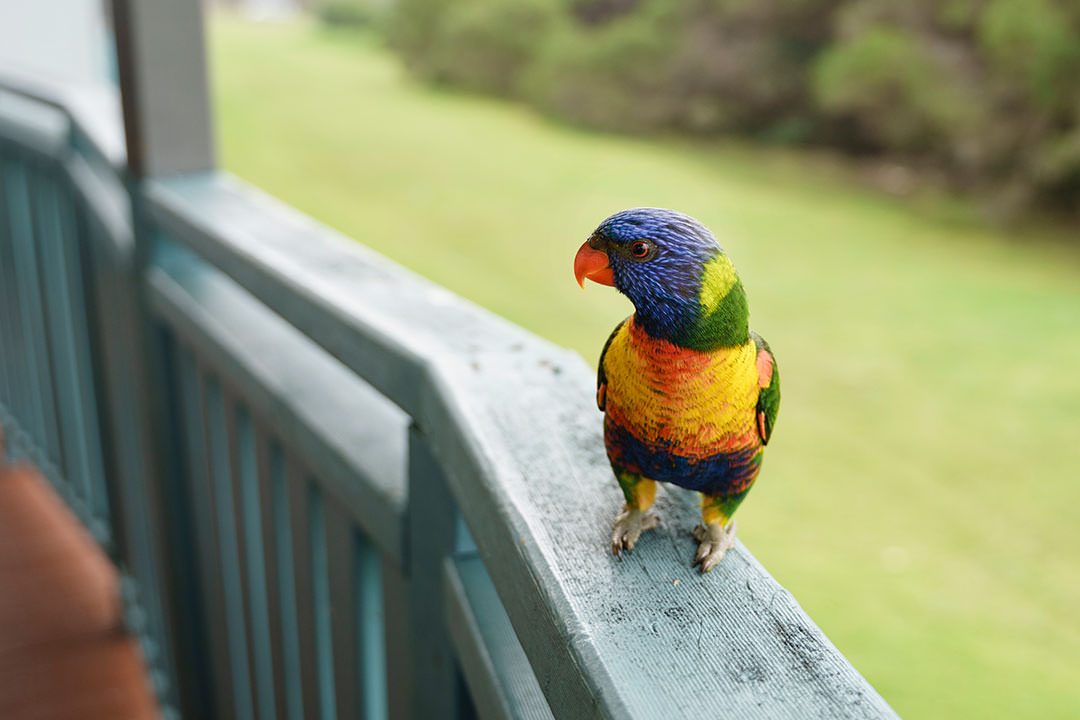 Daniele & Ben’s Wedding at Oaklands Event Centre | Pambula Wedding Photographers  | Oaklands-Event-Centre-Pambula-Weddings-Daniele-Ben-0002.jpg