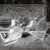 Albury Wedding Photographer Prices and Information. | Albury-Weddings-Lisa-Jake-0027.jpg