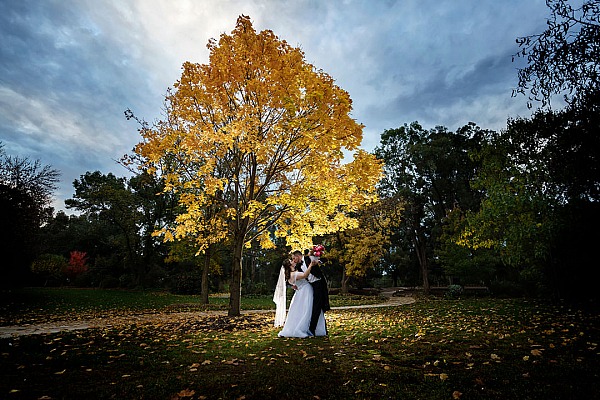Laura and Lachlan's wedding at The Tree Chapple, Wagga Wagga Botanical Gardens.