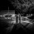 Albury Wedding Photographer Prices and Information. | Brown-Brothers-Winery-Milawa-Weddings-Maddeson-Daniel-0038.jpg