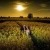 Albury Wedding Photographer Prices and Information. | allsaints20190726039.jpg