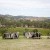 Some of the Best Wedding Venues in King Valley, Victoria: A Photographer’s Perspective  | 00244.jpg