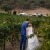 Some of the Best Wedding Venues in King Valley, Victoria: A Photographer’s Perspective  | 00799.jpg