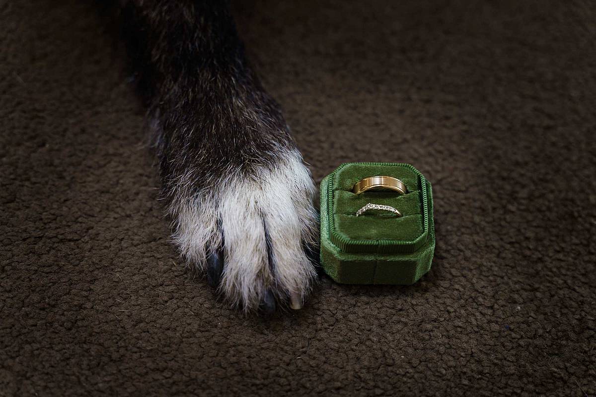 Shania & Ryan’s Wedding at McEvoy Tavern | Eldorado Wedding  | Eldorado-McEvoy-Tavern-Weddings-Shania-and-Ryan-0006.jpg